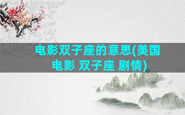 电影双子座的意思(美国 电影 双子座 剧情)
